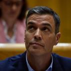 Pedro S&aacute;nchez.