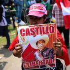 Uno de los manifestantes a favor del presidente destituido y detenido