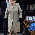 5c8abe3c2400004205a39b41