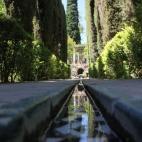 5c8a65fa250000e203c8fee7