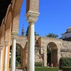 5c8a65fa2500000704c8feea