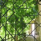 5c8a65fc260000ea04fe4c9b