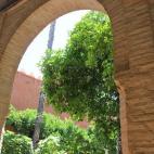 5c8a65fc360000c81a6b6dc7