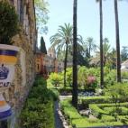 5c8a65fc2500005806811929