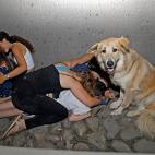 Israelíes se refugian bajo un puente a la entrada de la ciudad central de Tel Aviv, el 11 de mayo de 2021, después de que se lanzaran cohetes hacia Israel desde la Franja de Gaza controlada por el movimiento palestino Hamas.