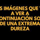 5c8a43033b000037066bc032