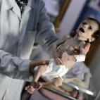 5c8a4304240000f404a2d892