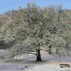 5c8b80a1200000450470ed58