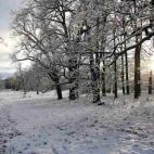 5c8b80a22300005400e85c4c