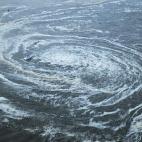 Los 6.800 empleados que trabajan cada día en la central de Fukushima pueden hacerlo ahora sin necesidad de llevar una máscara facial completa en el 90 por ciento del área de las instalaciones nucleares, según datos de la propietaria, Tokyo E...