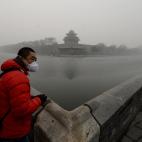 5c8b7ffe24000093024da423