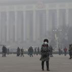 5c8b7fff22000031001b115f