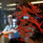 5dbfea6e200000d4445079b7