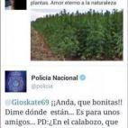 5c8aa387230000dd042366e4