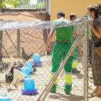 Bolso de rafia de Massimo Dutti: 70 euros.