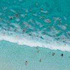 5c8af06f2400000a05a3edb5