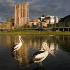 5c8a5be12500005806810caa