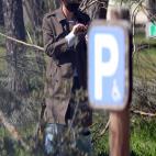 Primeras imágenes de Sara Carbonero tras su ruptura con Iker Casillas