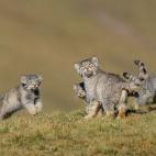 5f880aab220000304882cb8e