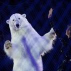 5f880aab200000a305561ba1