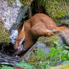 5f880aab200000a305561ba2