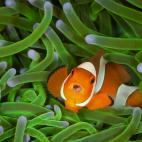 5f880aab240000fe4ed136ca