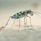 5f880aab2200005c4882cb8d