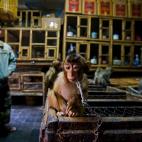 5f880aab240000fe4ed136cb