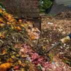 (Foto por Luis Robayo/AFP/Getty Images)