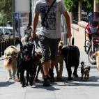 (Bulent Kilic/AFP/Getty Images)