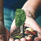 Las condiciones meteorológicas extremas y los desastres naturales del pasado año han puesto de relieve el efecto devastador del cambio climático. Un solo árbol puede acumular aproximadamente 22 kilos de carbón cada año y generar el oxígen...