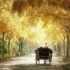 Como decían Los del Río, Sevilla tiene un color especial. Ese color especial es el color de sus calles, el color de sus parques, pero más aún, el color de sus gentes, ya que si algo caracteriza a Sevilla es precisamente eso, su carácter y l...