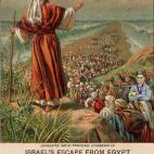 5c8ac8263b000070066c900d