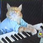 5c8ac8262000009d036fbc75