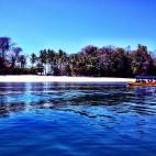 5c8af0622500000704c9e283