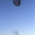 5c8b722322000051001aed1c