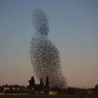 5c8b72232500000704caaf5e