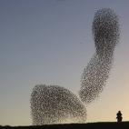 5c8b7224240000f7054d7fb7