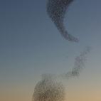 5c8b722422000051001aed22