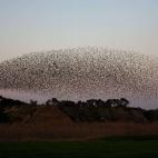 5c8b72242500000704caaf62