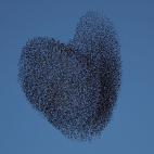 5c8b72252400000a05a4bc09