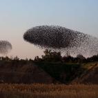 5c8b72252000009d0370c77c