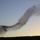 5c8b7225230000d50424c039