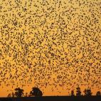 5c8b72262500001304caaf68