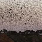 5c8b7226360000c81a6d19e1