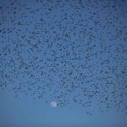 5c8b72262500000704caaf6a