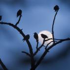 5c8b72272000009d0370c784