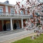 5c8aee2522000033001a1b09