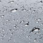 5c8b7248230000dd0424c0bf