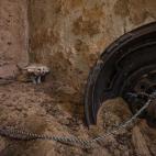 5c8b72482400006b054d8043